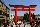 Mardi 7 Avril 2009 : Fushimi Inari Taisha, Le sanctuaire de la marche interminable